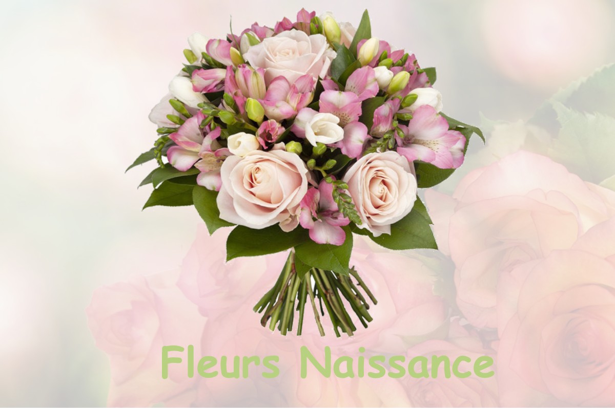 fleurs naissance CHIRENS